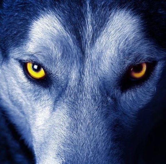 Meet your Posher, Aaron - Picture 1 of 1